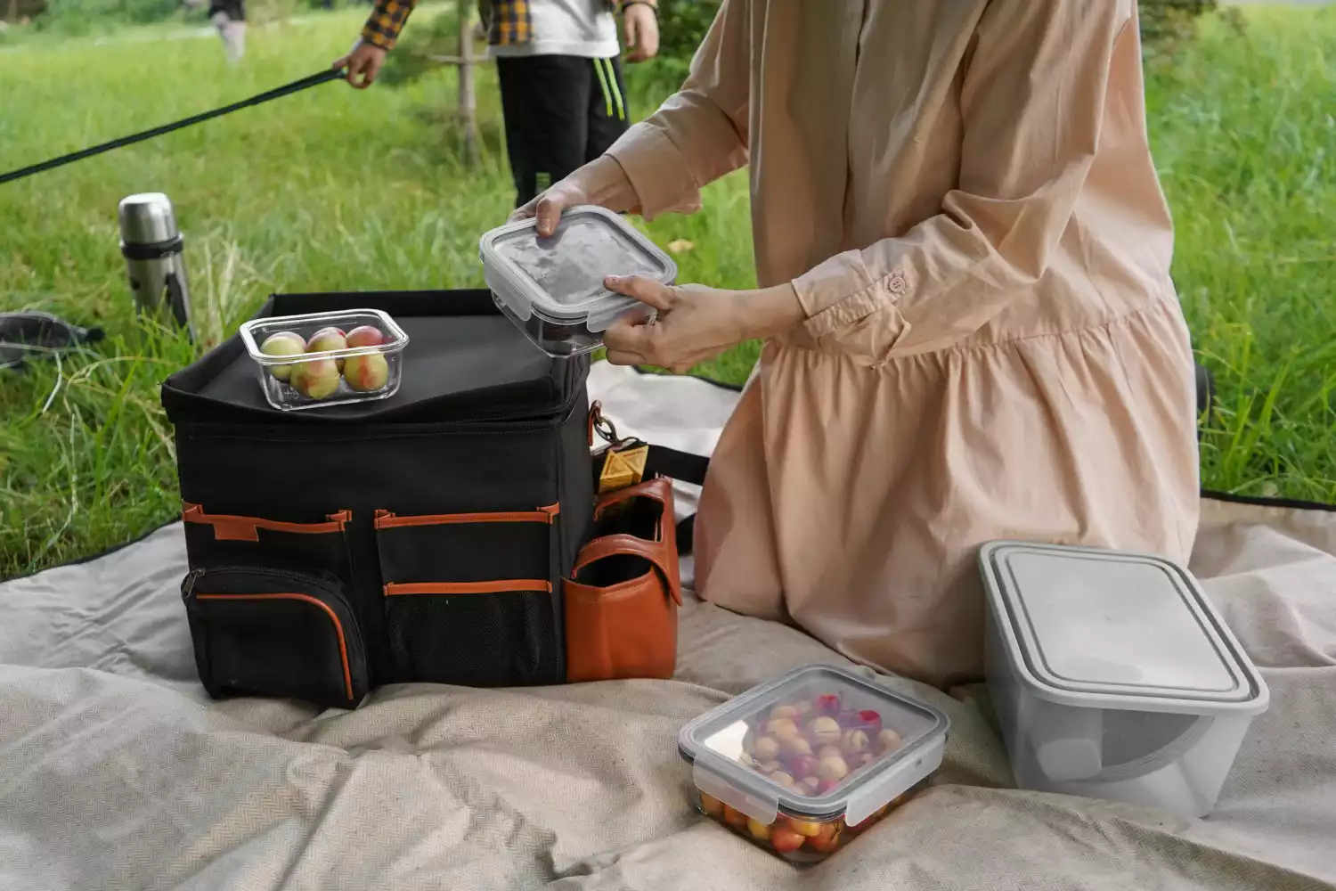 picnic blanket white